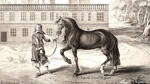 Domesticación del caballo