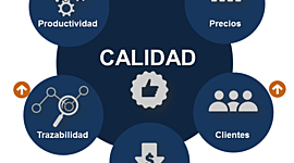 Timeline: Linea del tiempo de la calidad