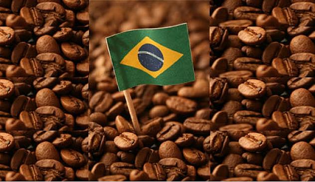 As riquezas do Brasil