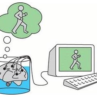 Timeline: Hilary Whitehall Putnam  July 31, 1926 - March 13, 2016