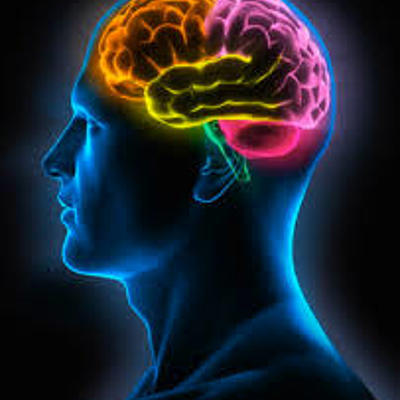 Timeline: El Tiempo en la psicología nerviosa y psicofisiológica