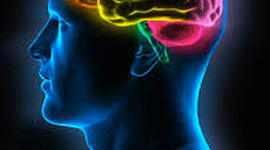 Timeline: El Tiempo en la psicología nerviosa y psicofisiológica