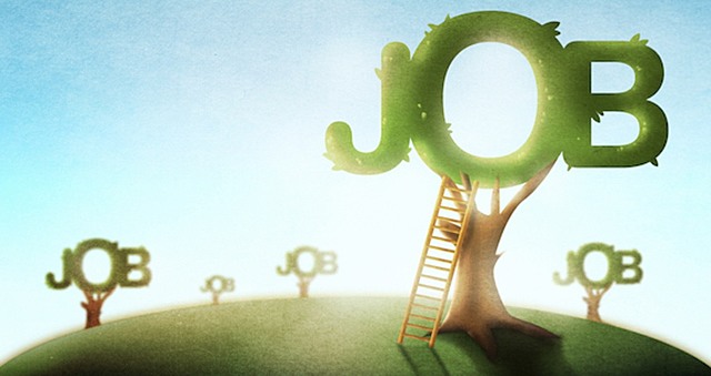 Get a successful career