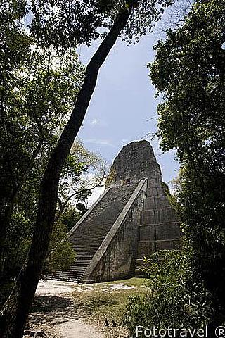 Construcción del templo V.