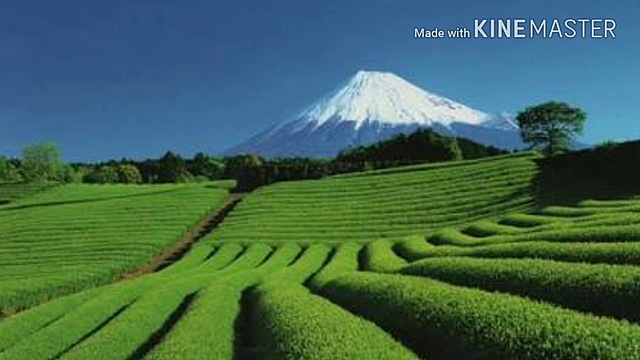 Normas Agrícolas Japonesas.