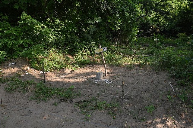 SCJN otorga amparo contra reserva de información