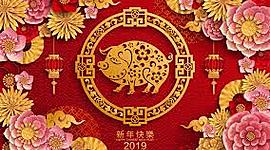 Timeline: ההיסטוריה שלי