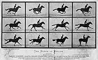 The Horse In Motion