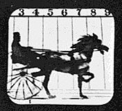 The First Motion Picture.