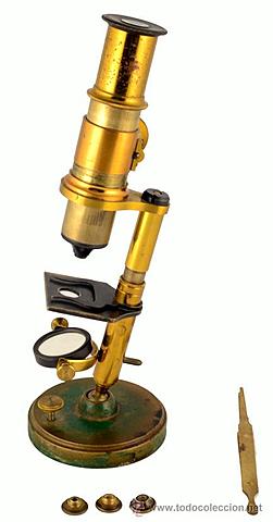 Primer microscopista