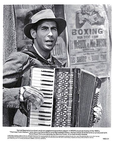 Accordion Player