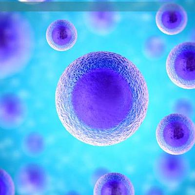 Timeline: Cell Theory