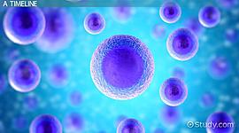 Timeline: Cell Theory