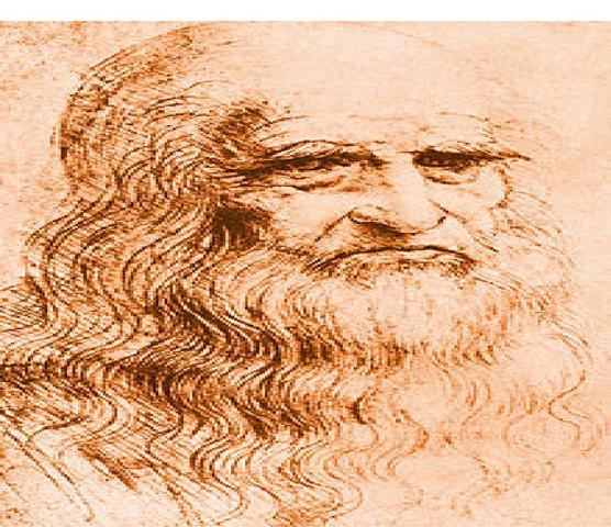 Leonardo da Vinci was born