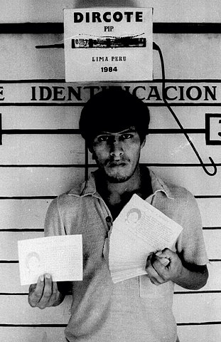 Creación de la  Dirección  Contra el Terrorismo – DIRCOTE, conformándose ocho grupos operativos denominados “Deltas”