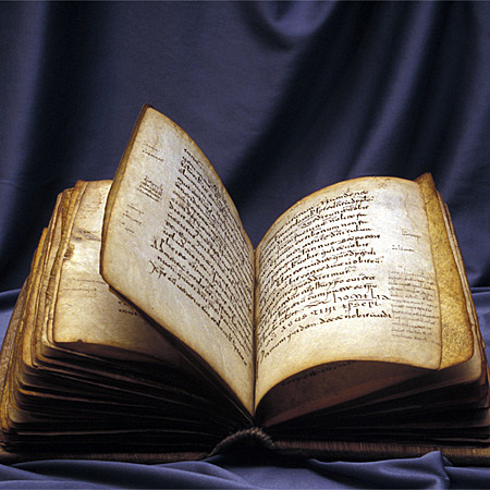 FUNCIÓN CURRICULAR LENGUAJE