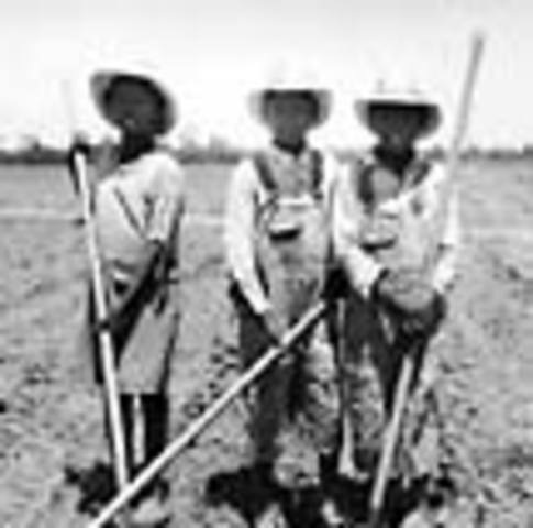 Agricultural Adjustment Act