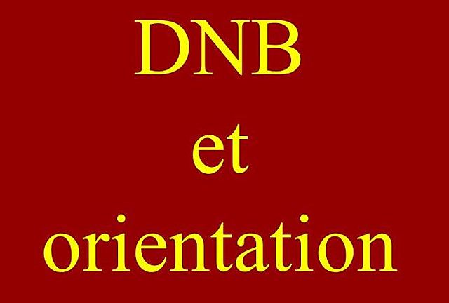 Réunion DNB/Orientation