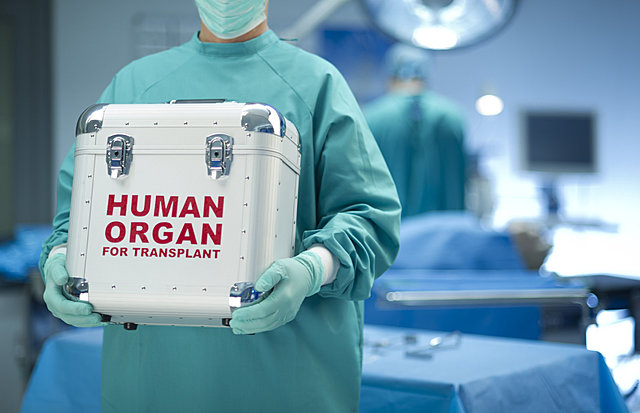 organ transplants discovered