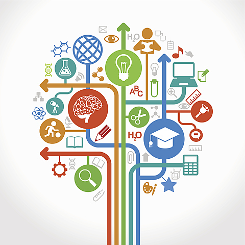 Creativo Capacidad de aprendizaje