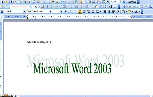 Word 2003