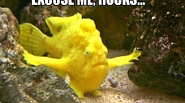 Timeline: Smart Goal