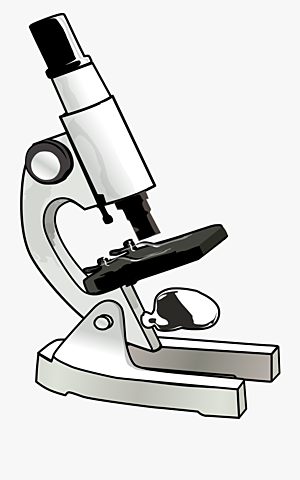 Microscope