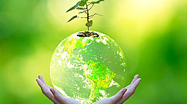 Timeline: Principios de gestión ambiental