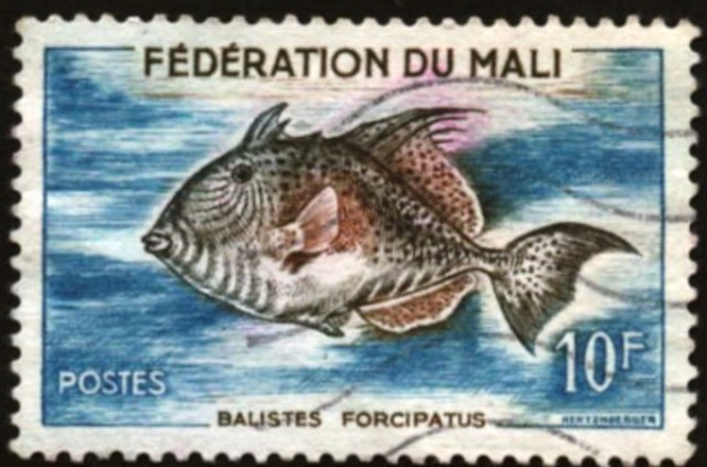 Senegal's Extraction from the Mali Federation / Le Disparition de Senegal de la Fédération du Mali