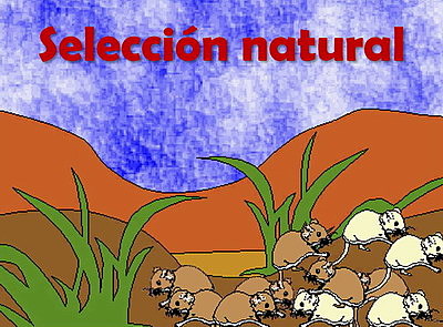 CHARLES DARWIN (1809)