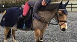 Timeline: Amandas presetaion