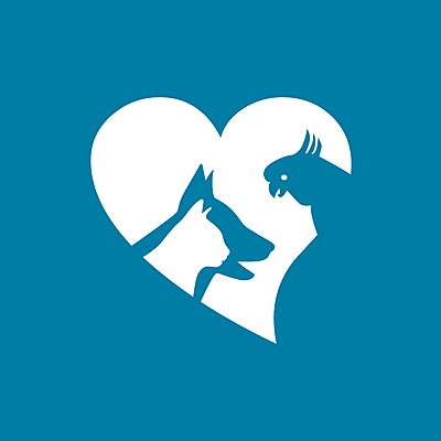 Timeline: Life in Ten Years