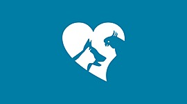 Timeline: Life in Ten Years