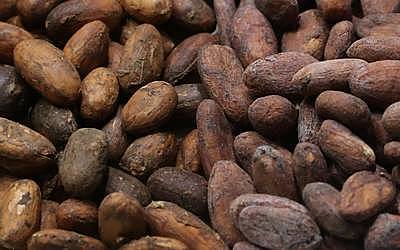 Sistema de Intercambio