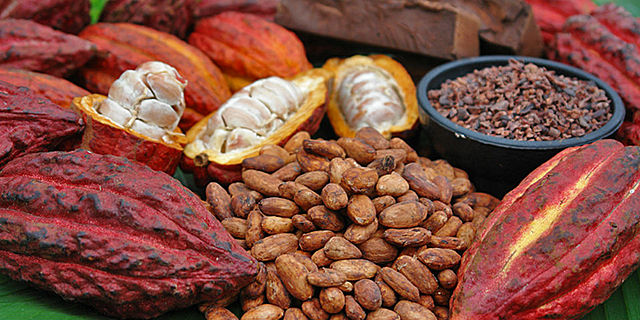 cacao y algodón