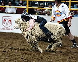 Mutton Bustin