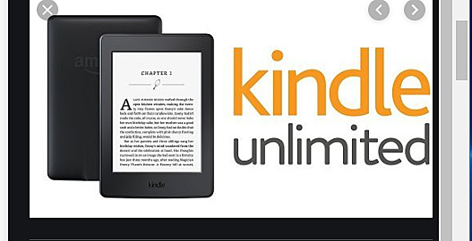 Amazon started to sell kindles