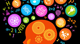 Timeline: La Neuropsicología en el tiempo