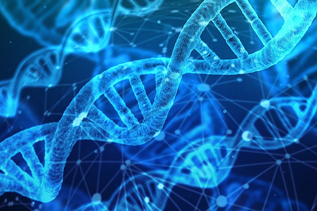 Desarrollo en la Genetica