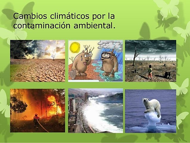 Organización Meteorológica Mundial (WMO)