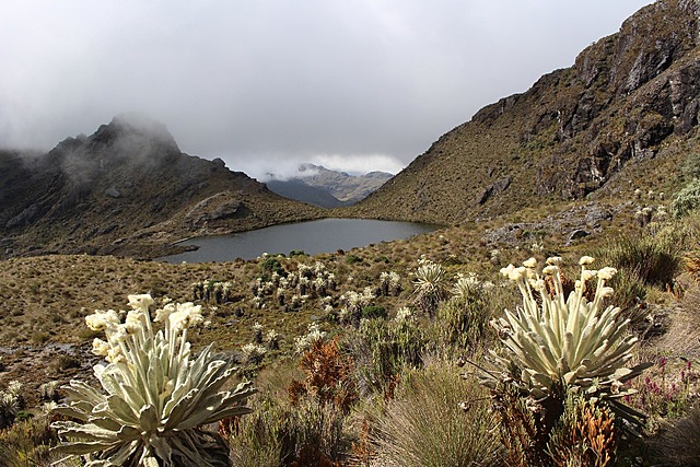 Principios GENERALES AMBIENTALES