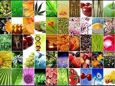 La nueva sistemática botánica.