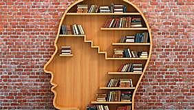 Multiplicación y División básica