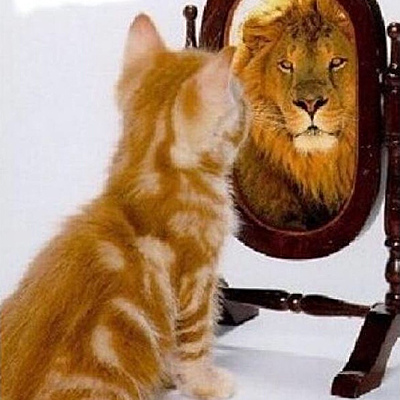 Timeline: Reconociendo mis competencias, ¿Quién soy yo?, ¿Qué quiero ser?