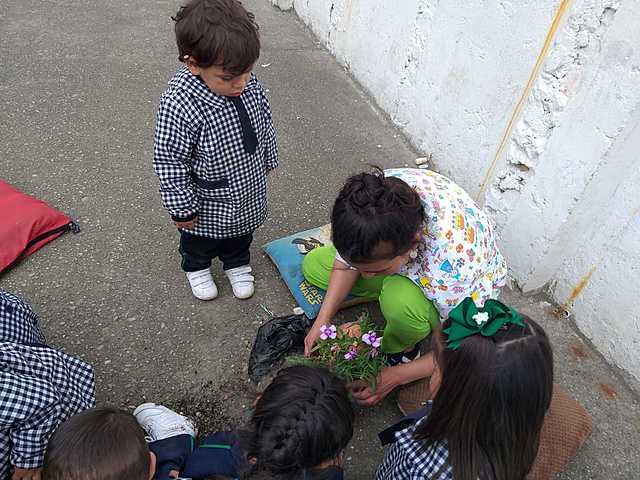 inicio prácticas pedagógicas