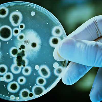 Timeline: Historia de la Microbiología