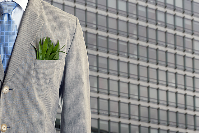 Reunión para la discusión del problema de la economía verde