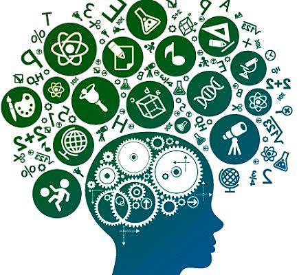 TEORÍA DE LOS CAMPOS CONCEPTUALES DE VERGNAUD