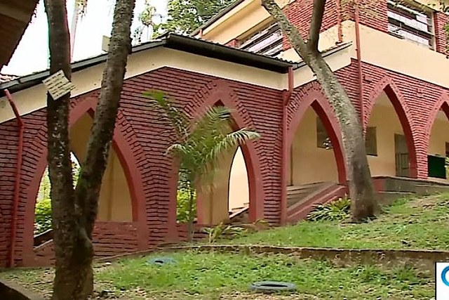 LIberación y alborozo