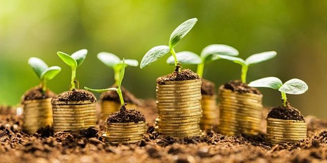 Se utilizó por primera vez el concepto de sustentabilidad